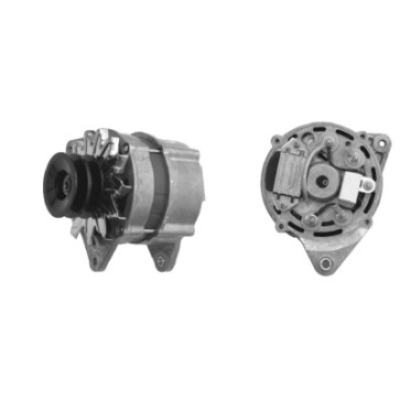IA1190 MG307