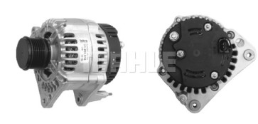 IA1142 MG559